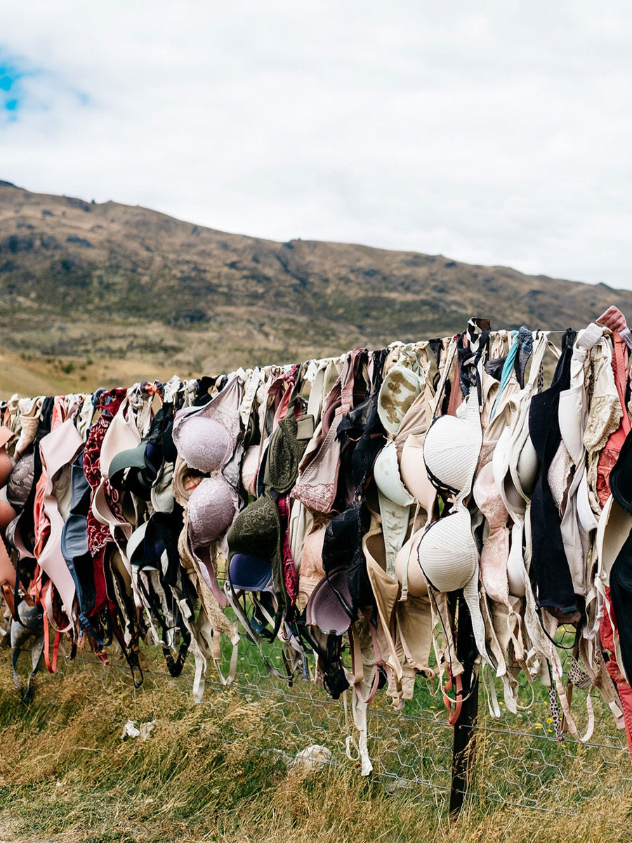 Our life in Bras