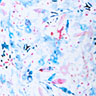 Almeria Print