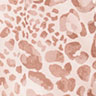 Camara Print