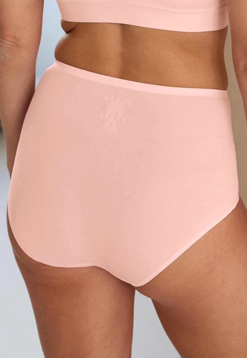 Bella di Notte Emilia 2 Pack Full Brief - Soft Rose Back View