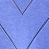 Iris Blue