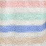 Rainbow Stripe