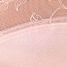 Soft Rose