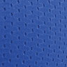 Racing Blue