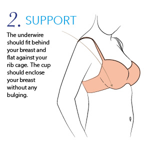 B Size Breast Chart